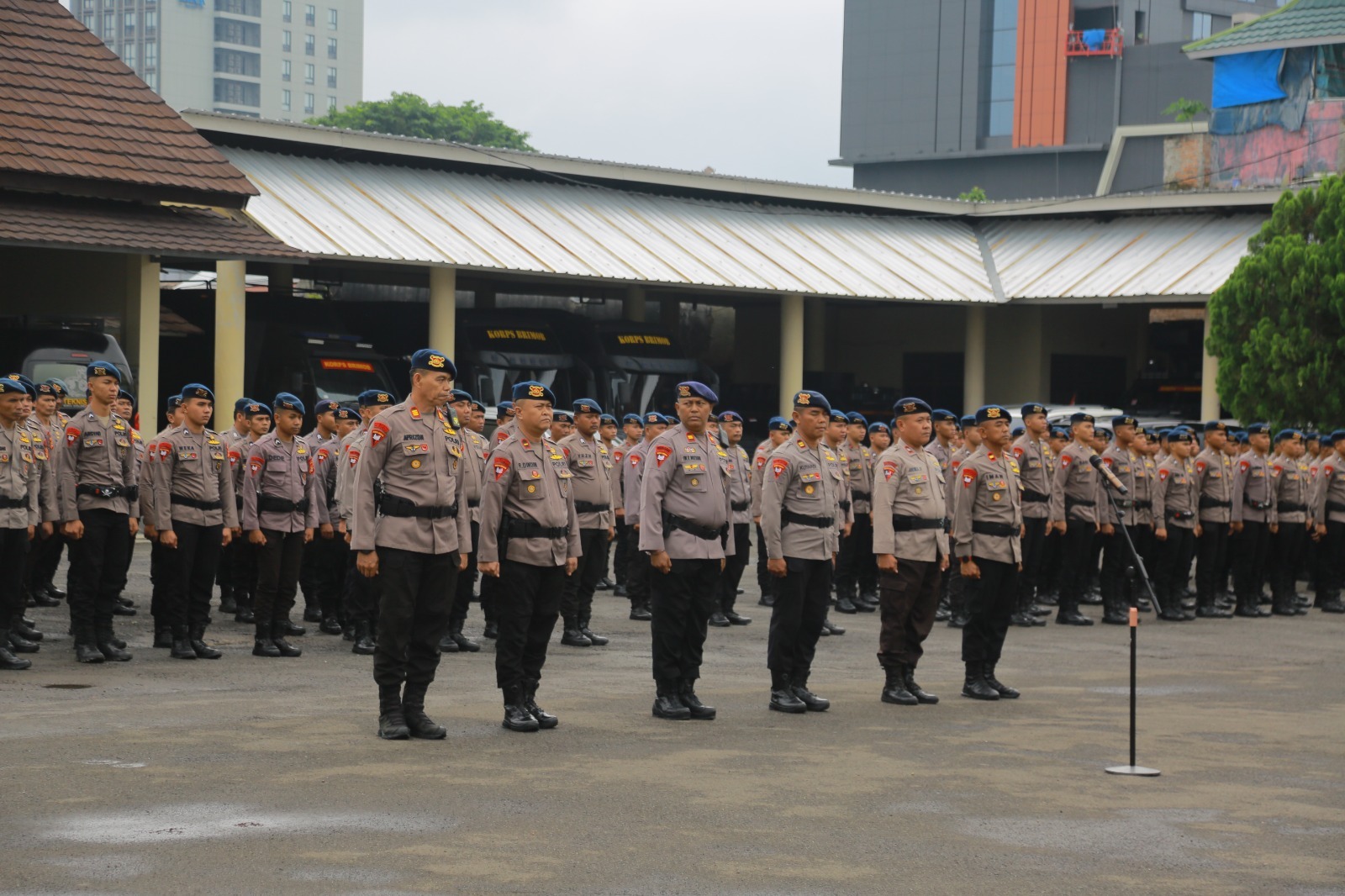 Apel Pagi